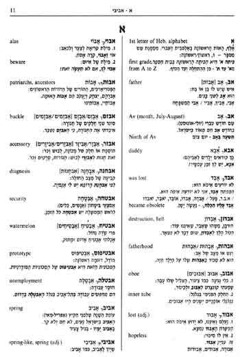 Rav Milon - Multi Dictionary