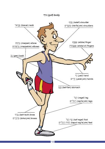 Hebrew Starter's Packet - Image 4